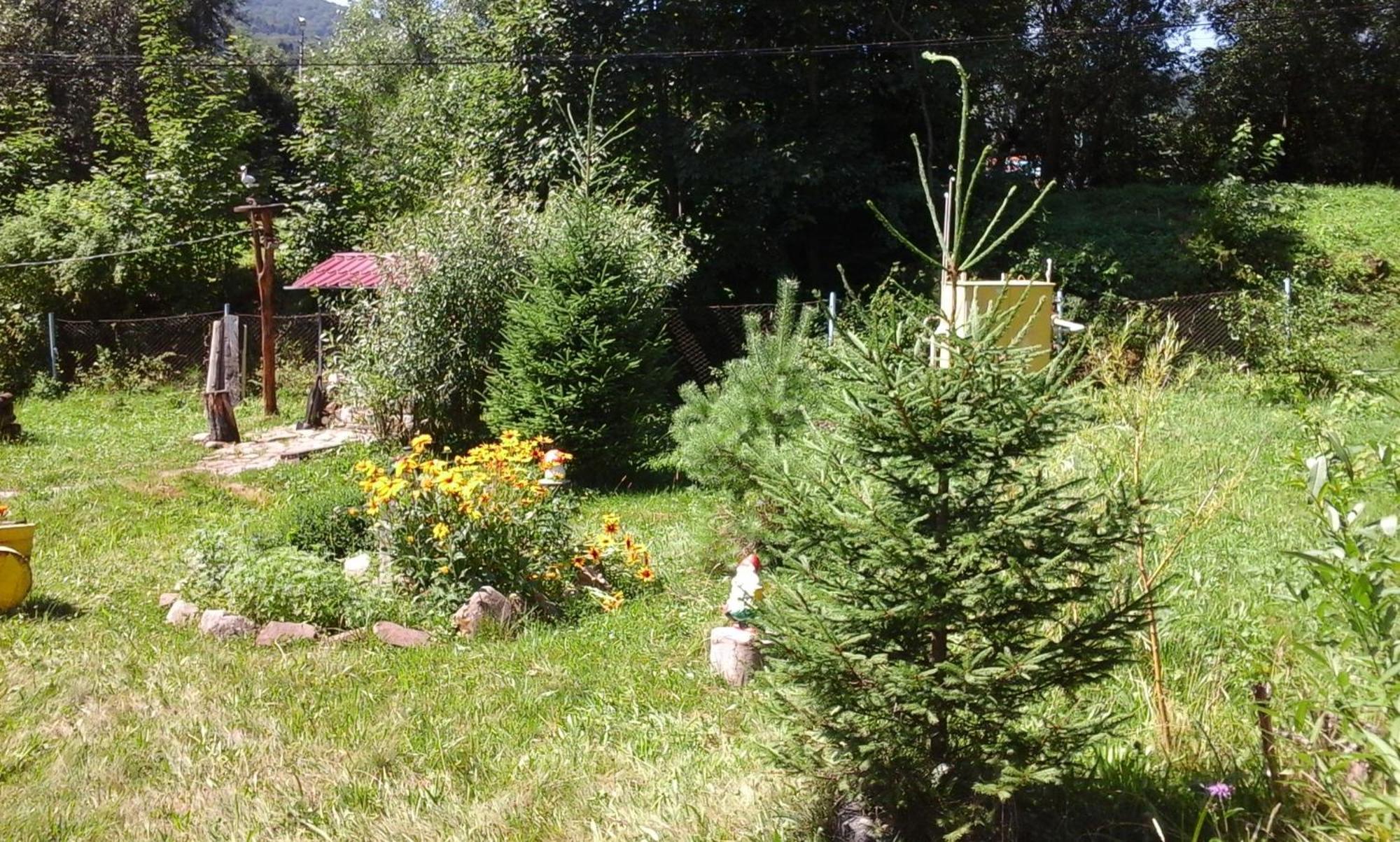 U Pana Ivana Jaremtsje Kamer foto